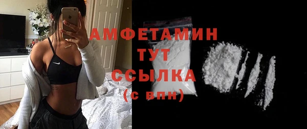 спиды Бородино